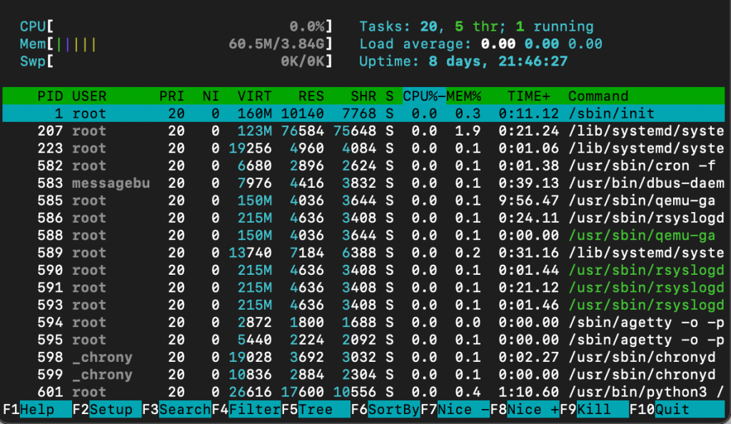 htop command shows server performance monitor