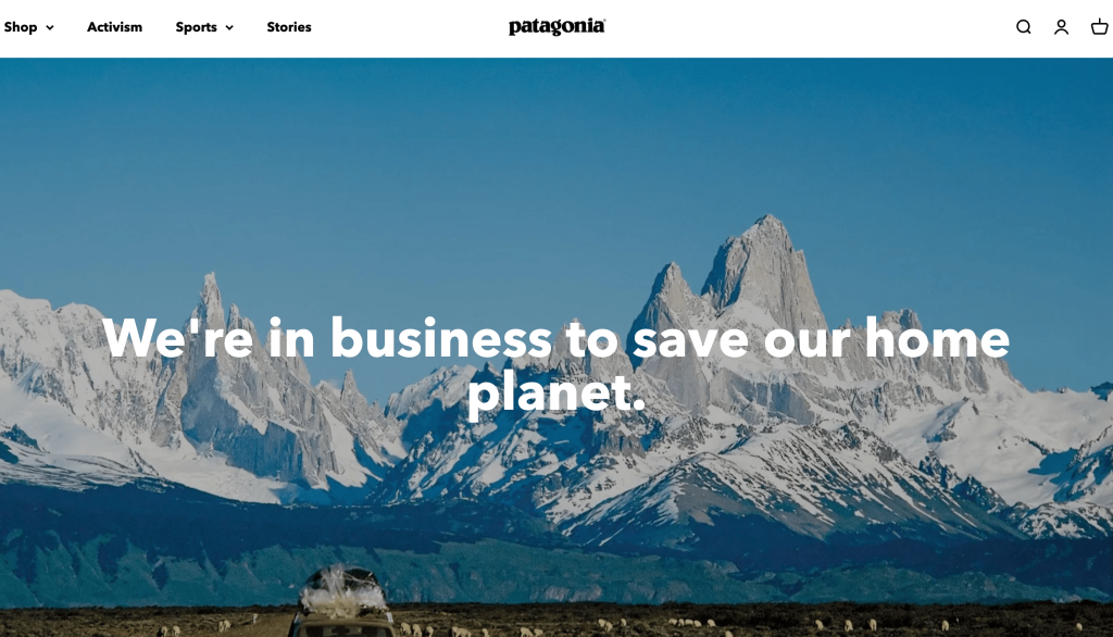 Patagonia homepage